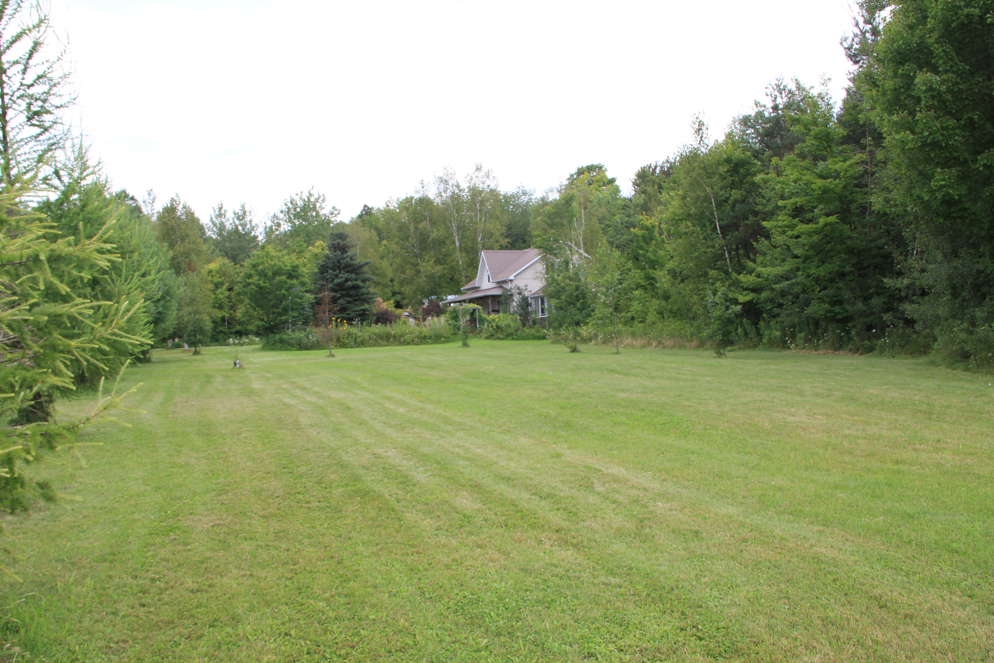 Side lawn looking west